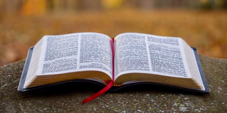 Existe-t-il une traduction de la Bible préférée que les chrétiens devraient utiliser ?